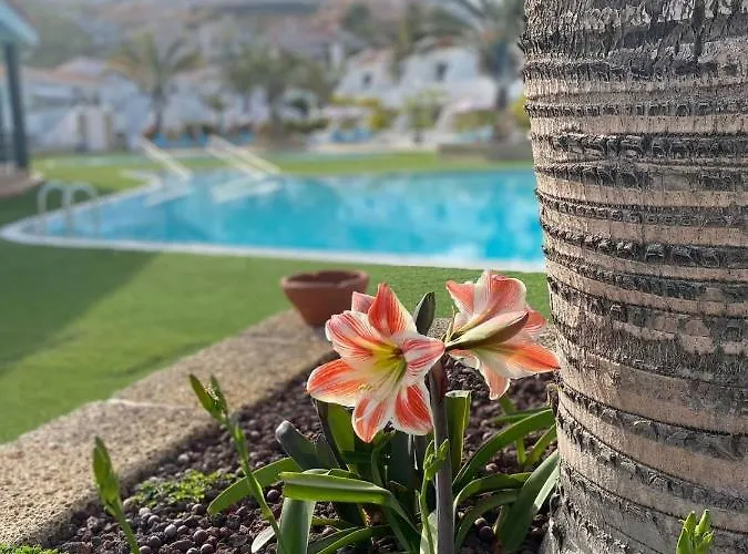 Apartment Malibu Sun & Relax